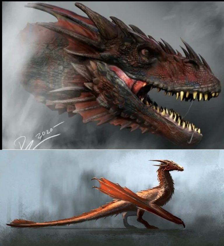House Of The Dragon Streaming France Premier Concept Art des dragons de la série – House of The Dragon France